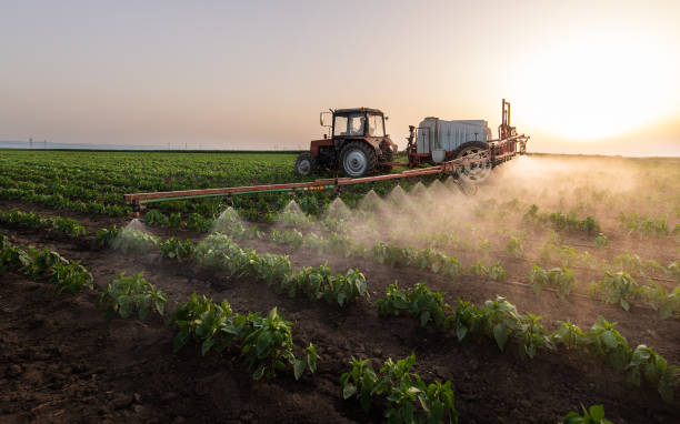 Best Mosquito Control Services  in Galva, IL