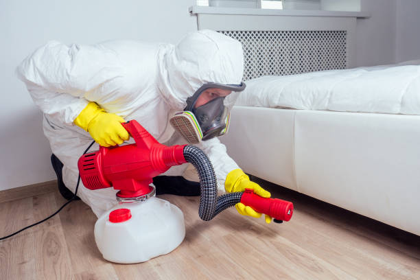 Best Local Pest Control Services  in Galva, IL