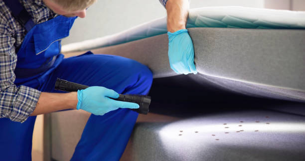 Best Pest Inspection Near Me  in Galva, IL