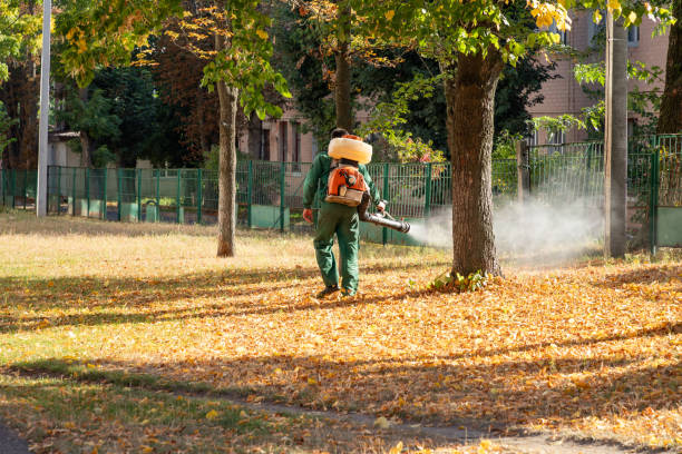 Best Pest Prevention Services  in Galva, IL