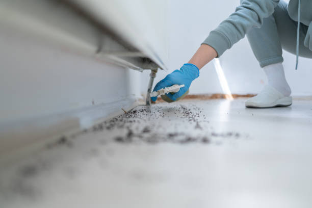 Best Cockroach Control Services  in Galva, IL